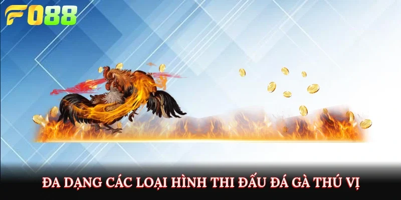 Đa dạng các loại hình thi đấu đá gà thú vị