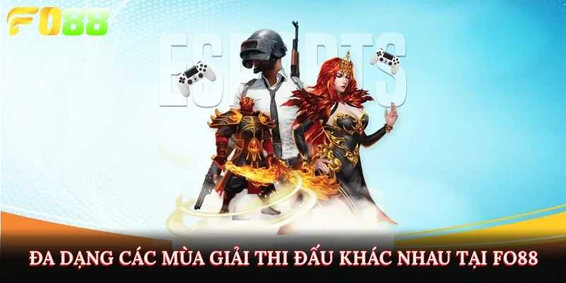 đa dạng mùa giải thi đấu