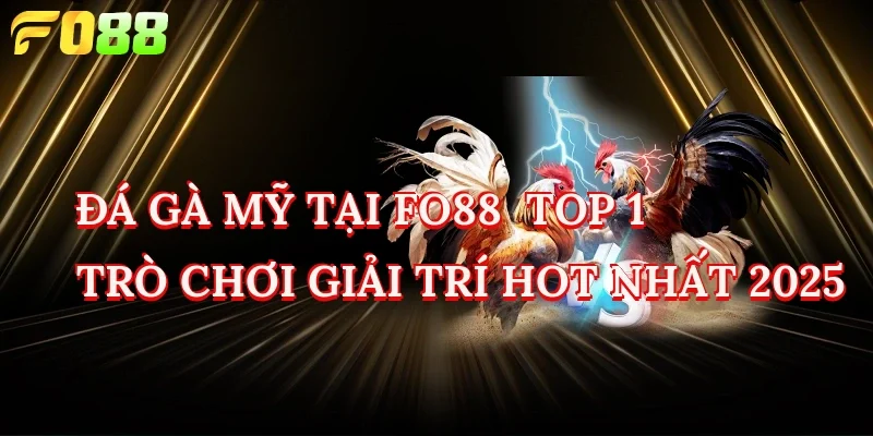 đá gà my