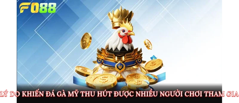 Lý do khiến đá gà mỹ thu hút được nhiều người chơi tham gia 
