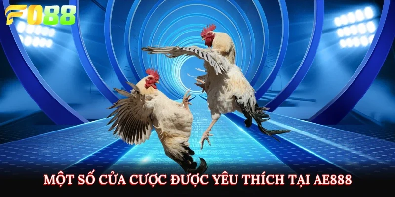 Một số cửa cược được yêu thích tại AE888 