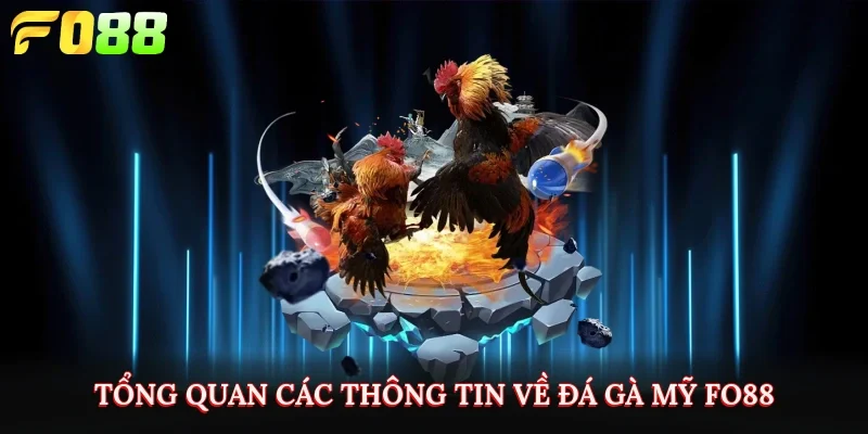 Tổng quan các thông tin về đá gà mỹ FO88